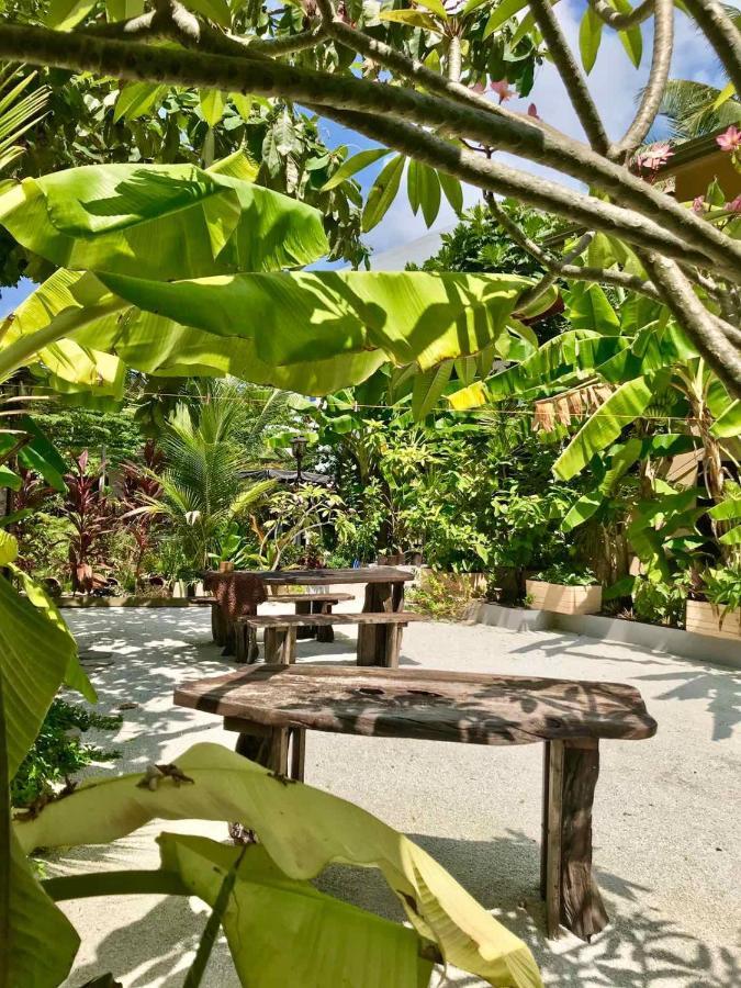 Daisy Cottage Dhangethi Exterior foto